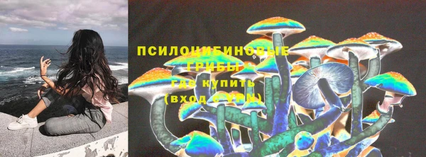spice Алексин