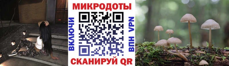 Галлюциногенные грибы мухоморы  Бабушкин 