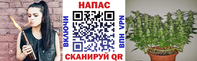 Бошки марихуана VHQ  наркота  Бабушкин 